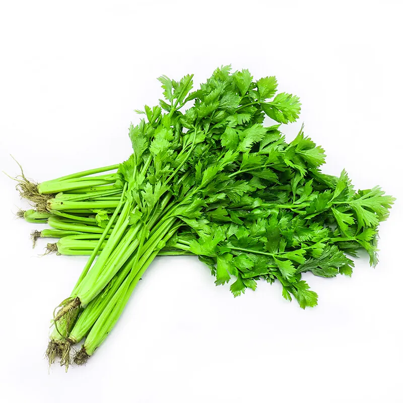 芹菜怎么吃降血压？