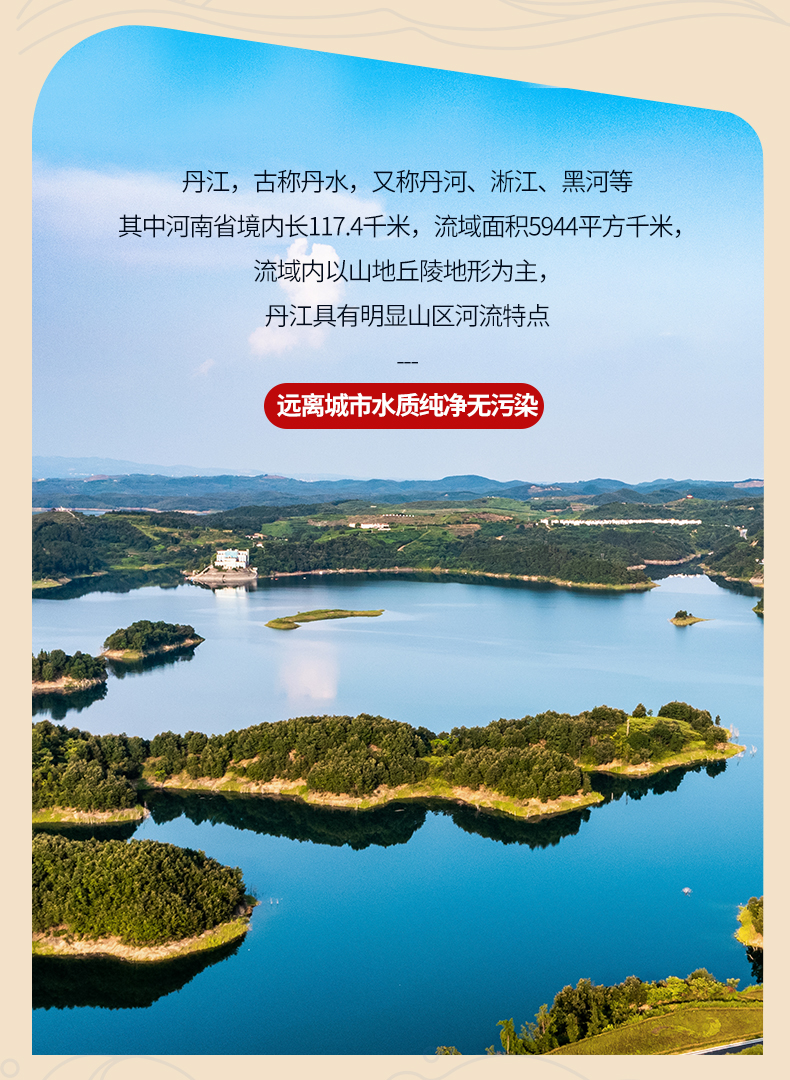 速冻酱焖鱼尾